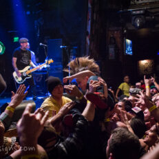 Street Dogs - Rush the Stage