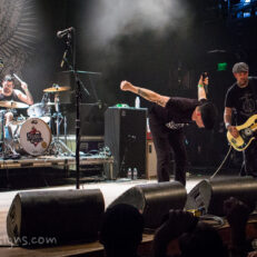 Street Dogs taking a bow at the end of the show