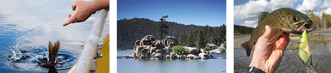 Cool Cabins Fishing Charters